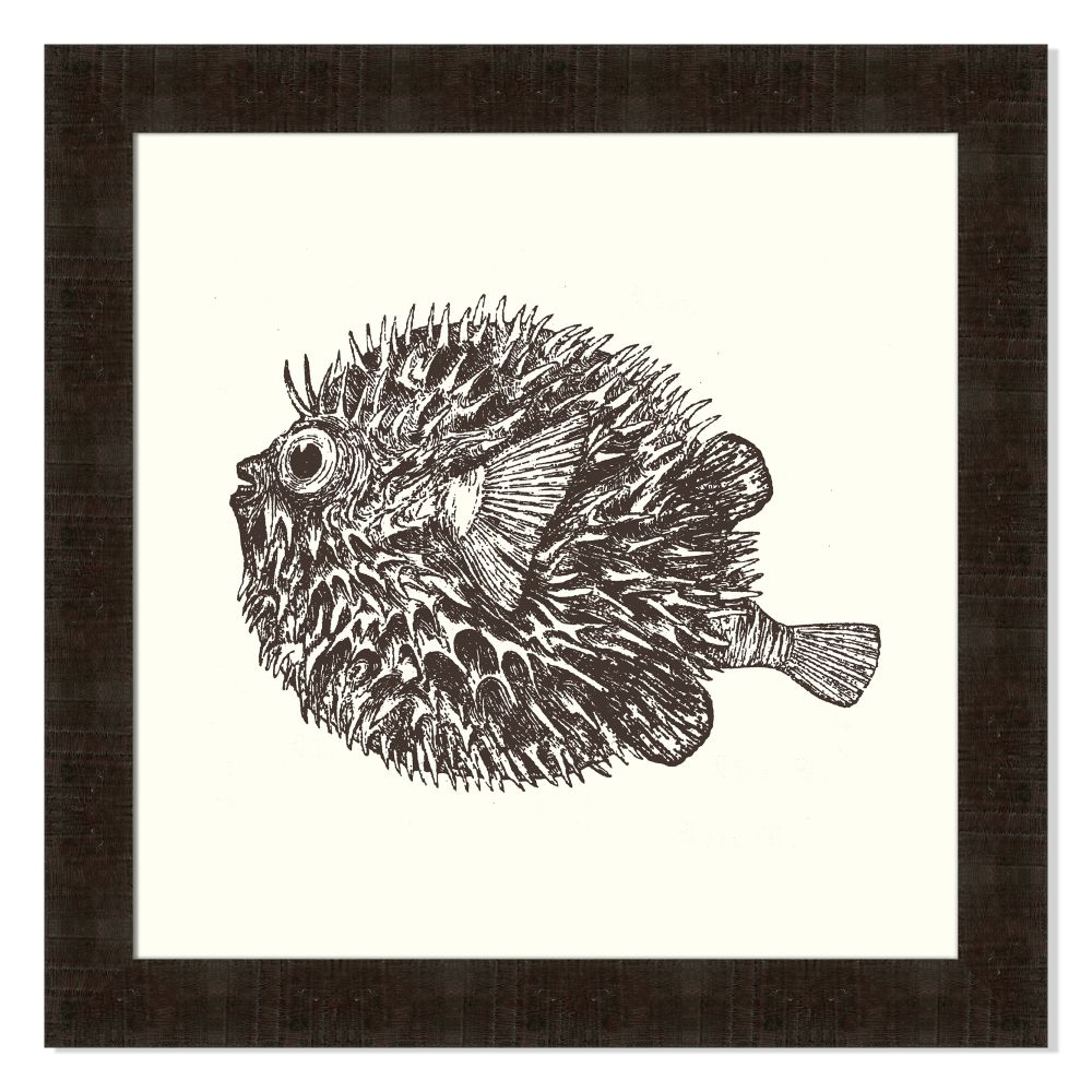 Blowfish