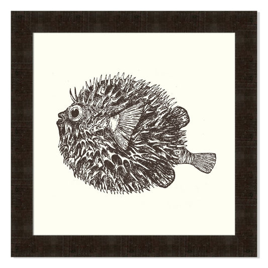 Blowfish