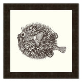 Blowfish