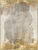 Coral Splendor II in Canvas