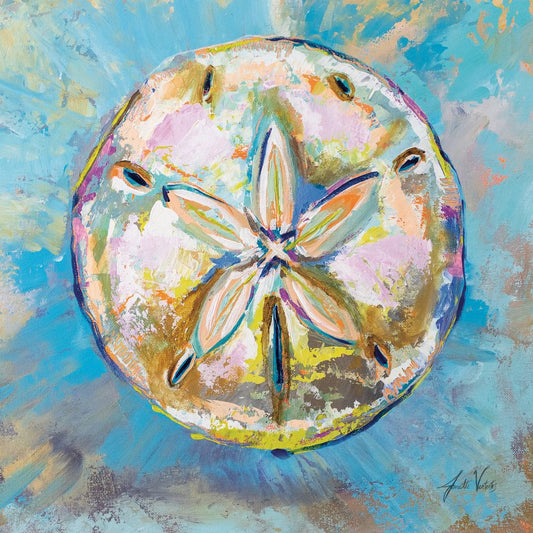 Sand Dollar Boxed Canvas