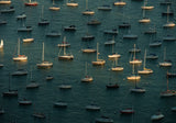 Fleet of Sailboats on Teal Water on Boxed Canvas
