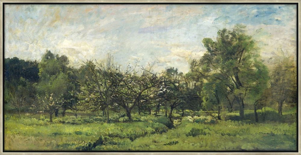 Serene Green