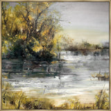 Placid