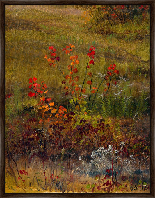Botanical Studies, Frederic Edwin Church, 1865 on Canvas
