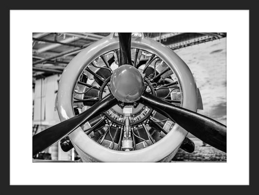Vintage Propeller II