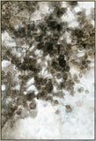 Morning Leaves