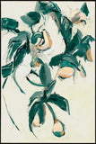 Bounty Canvas