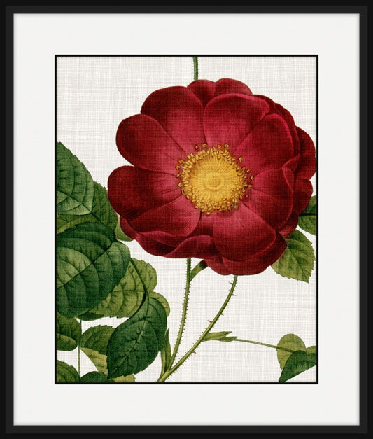 Woven Rose II