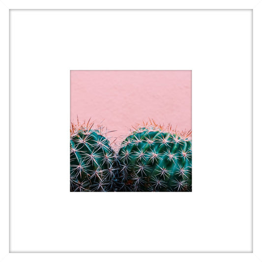 Prickly Pink II