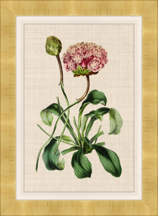 Bijouterie II on Canvas
