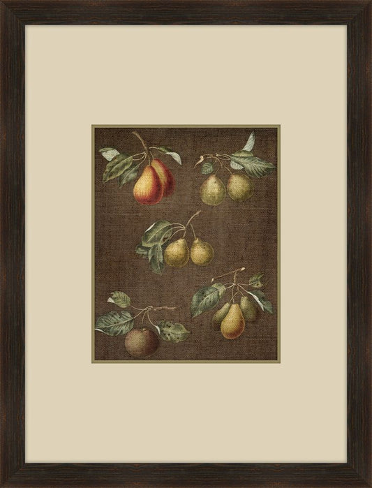 Fruits on Linen  I