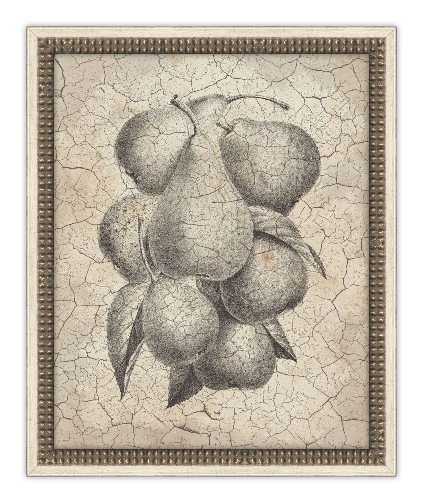 Harvest Fruit I