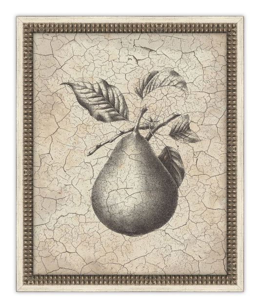Harvest Fruit II