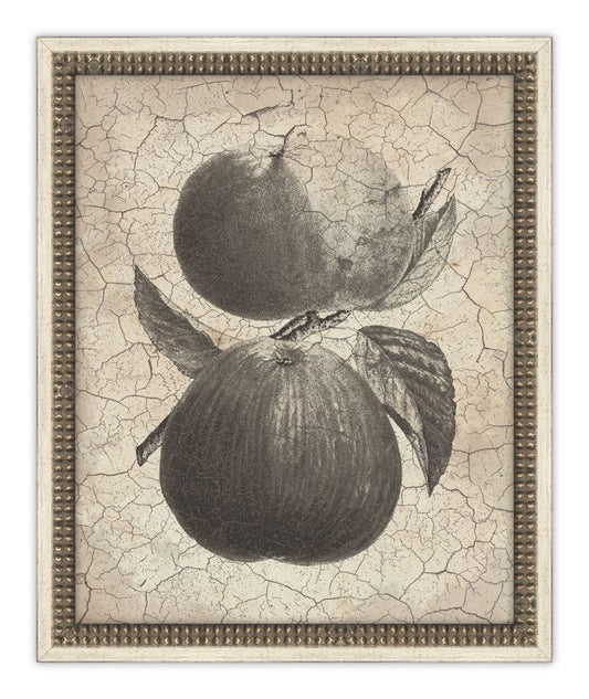 Harvest Fruit III