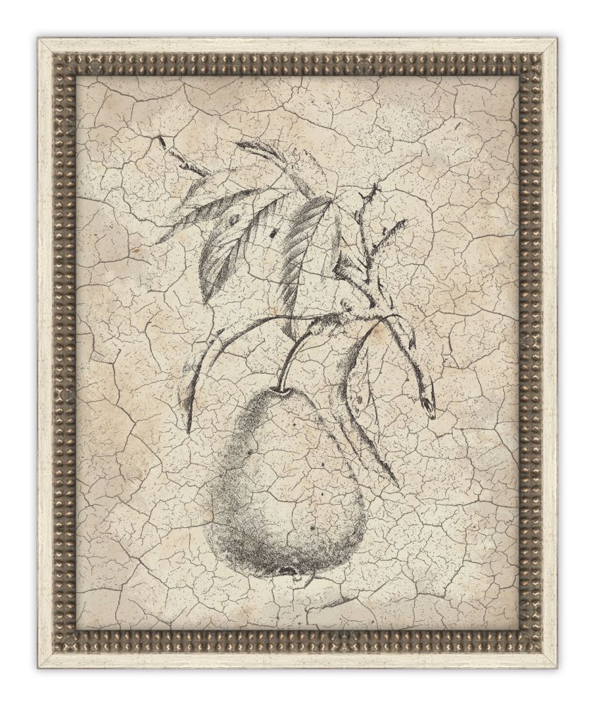 Harvest Fruit IV