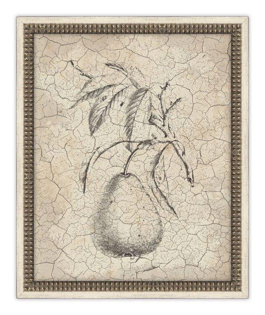 Harvest Fruit IV