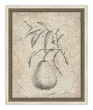 Harvest Fruit IV