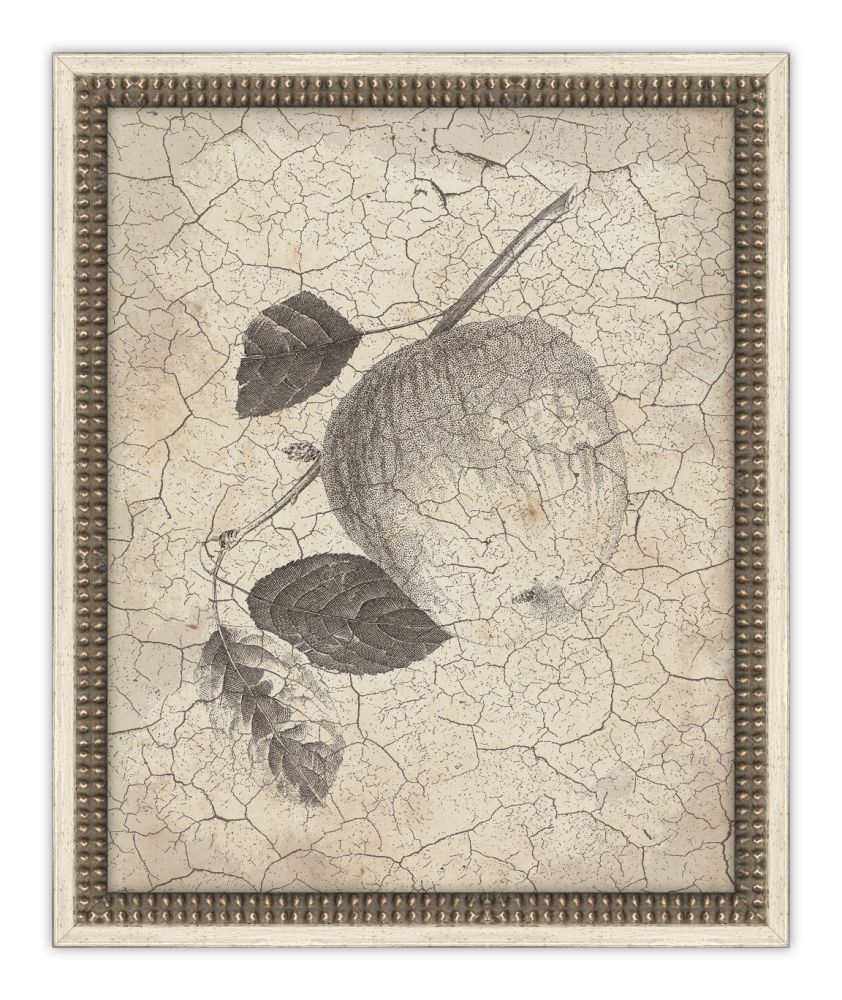 Harvest Fruit V