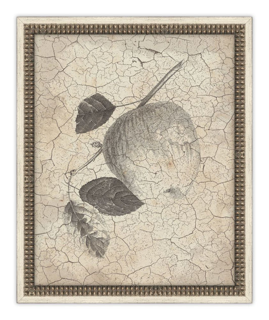 Harvest Fruit V