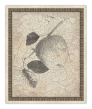 Harvest Fruit V