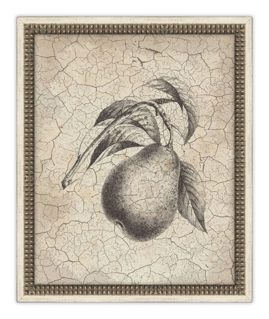 Harvest Fruit VII