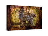 Grapes au Bordeaux II