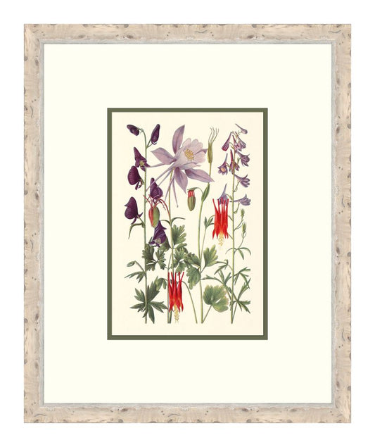 Cottage Flowers I