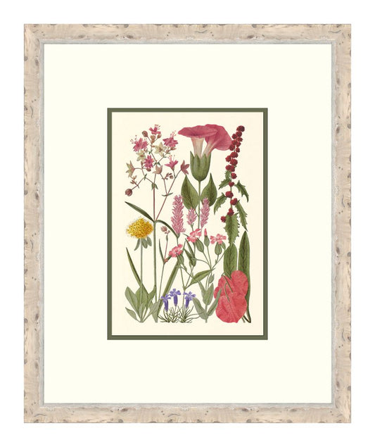 Cottage Flowers II