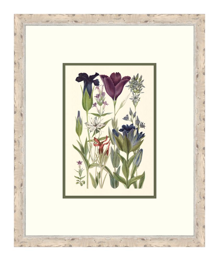 Cottage Flowers III