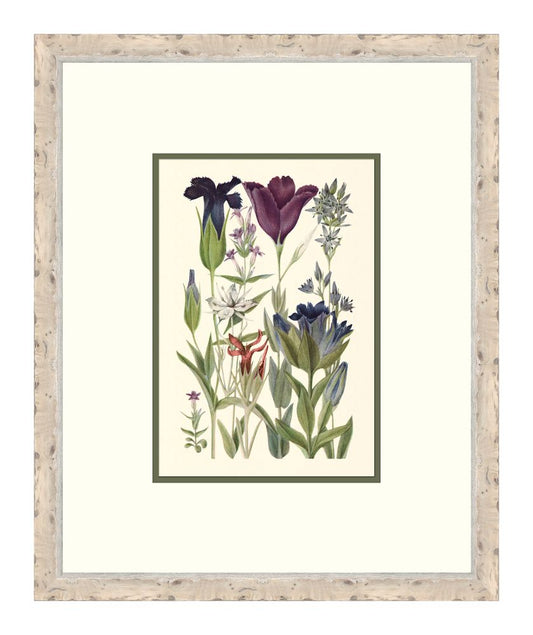 Cottage Flowers III