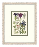 Cottage Flowers III