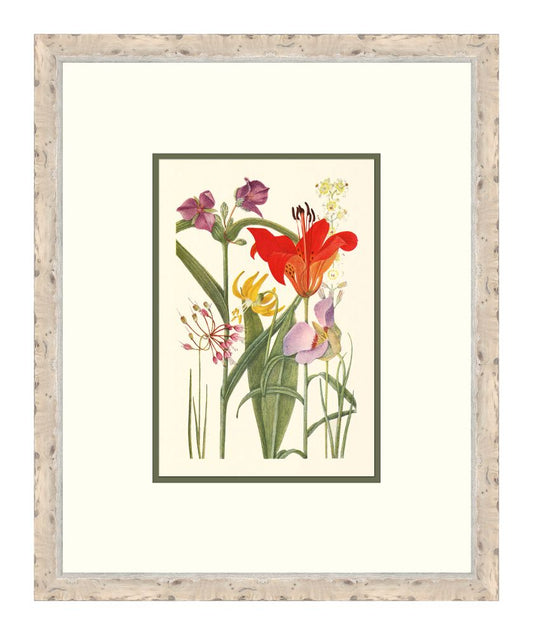 Cottage Flowers V