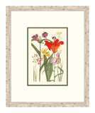Cottage Flowers V