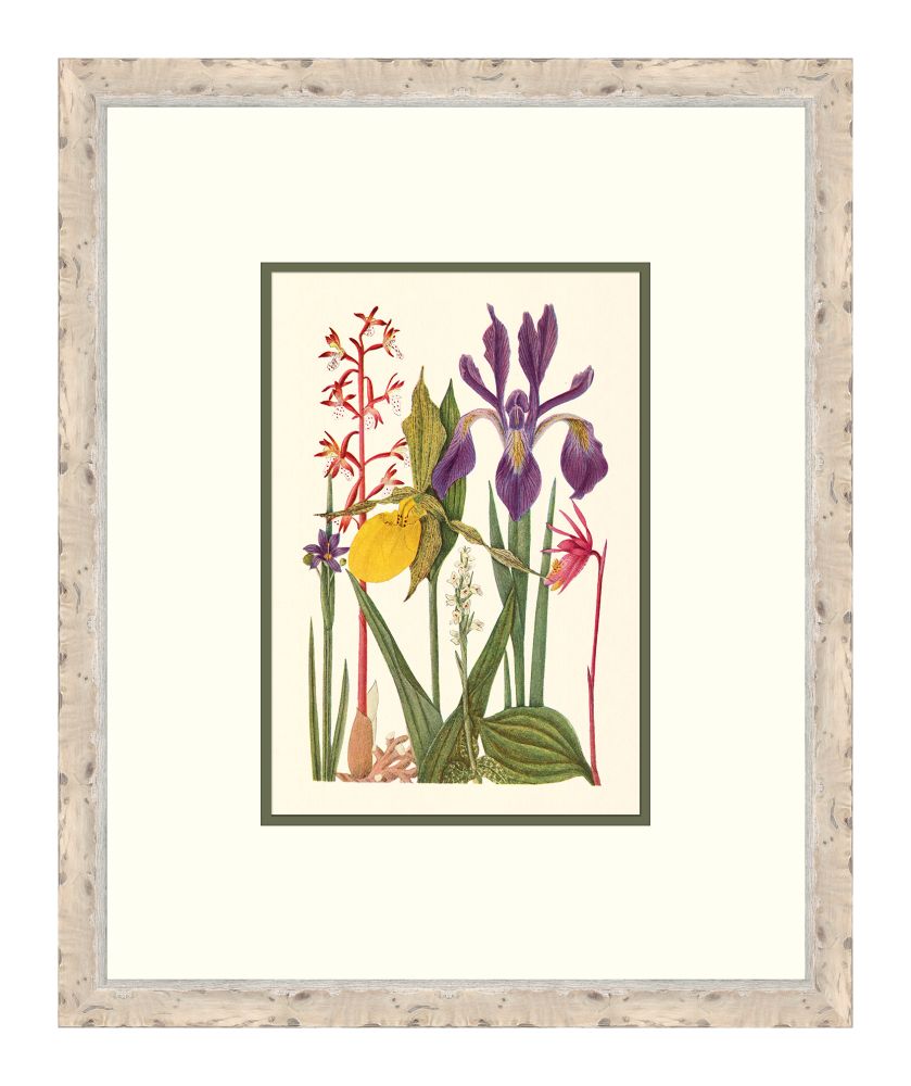 Cottage Flowers VI