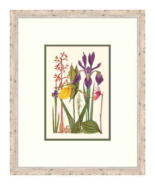 Cottage Flowers VI
