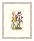 Cottage Flowers VI