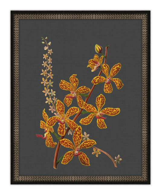 Beautiful Botanical on Black V