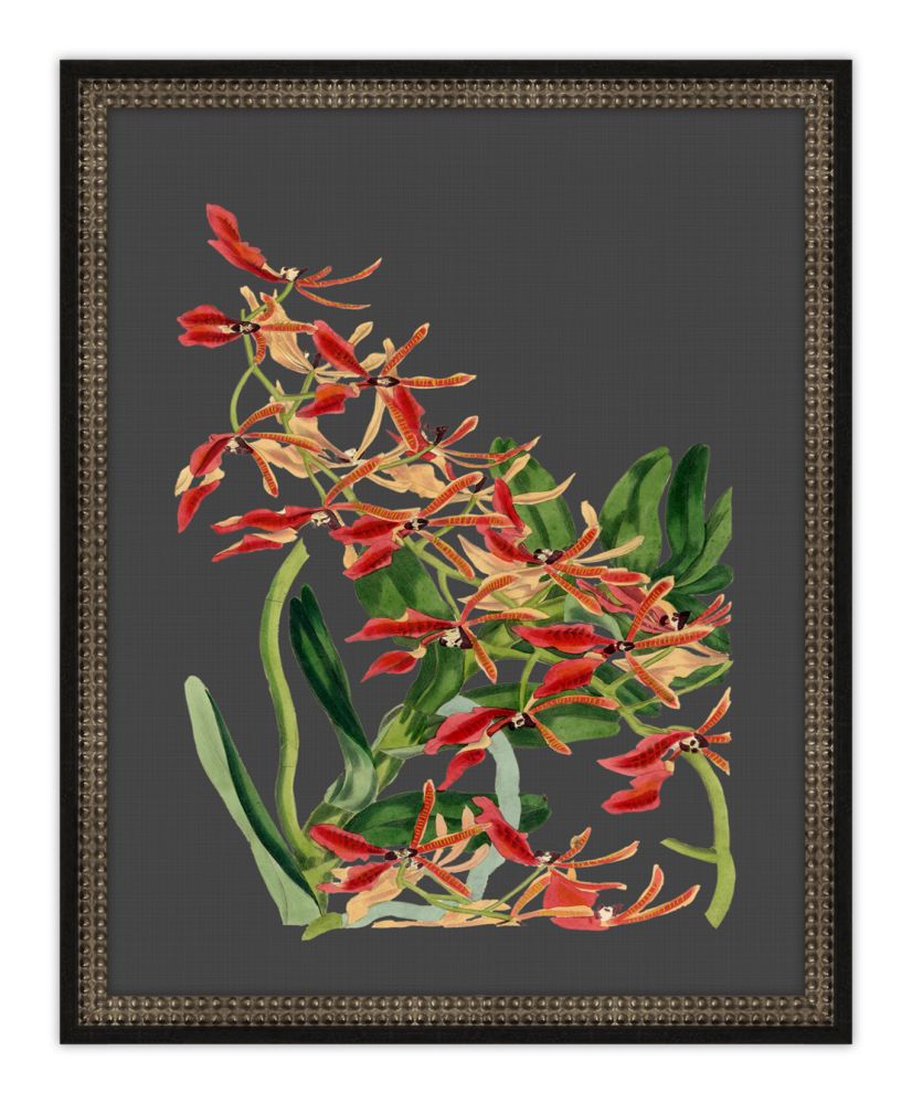 Beautiful Botanical on Black VII