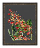 Beautiful Botanical on Black VII