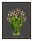 Beautiful Botanical on Black VIII