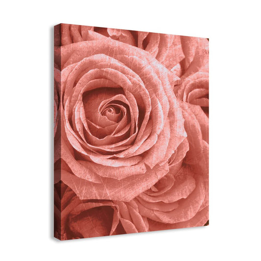 Romance and Roses I