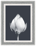 La Grande Dame Blanc I
