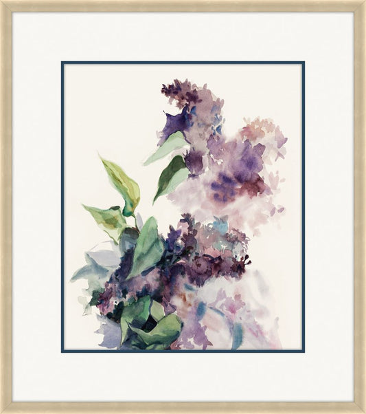Wild Lilac