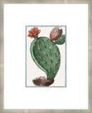 Martelli Cactus II