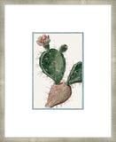 Martelli Cactus XI