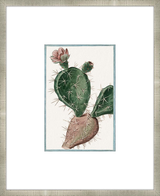Martelli Cactus XI