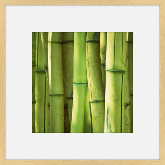 Green Serenity I