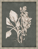 Dramatic Flowers in Fern Green II Grande