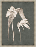 Dramatic Flowers in Fern Green III Grande